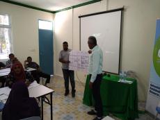 Gemanafushi WS3