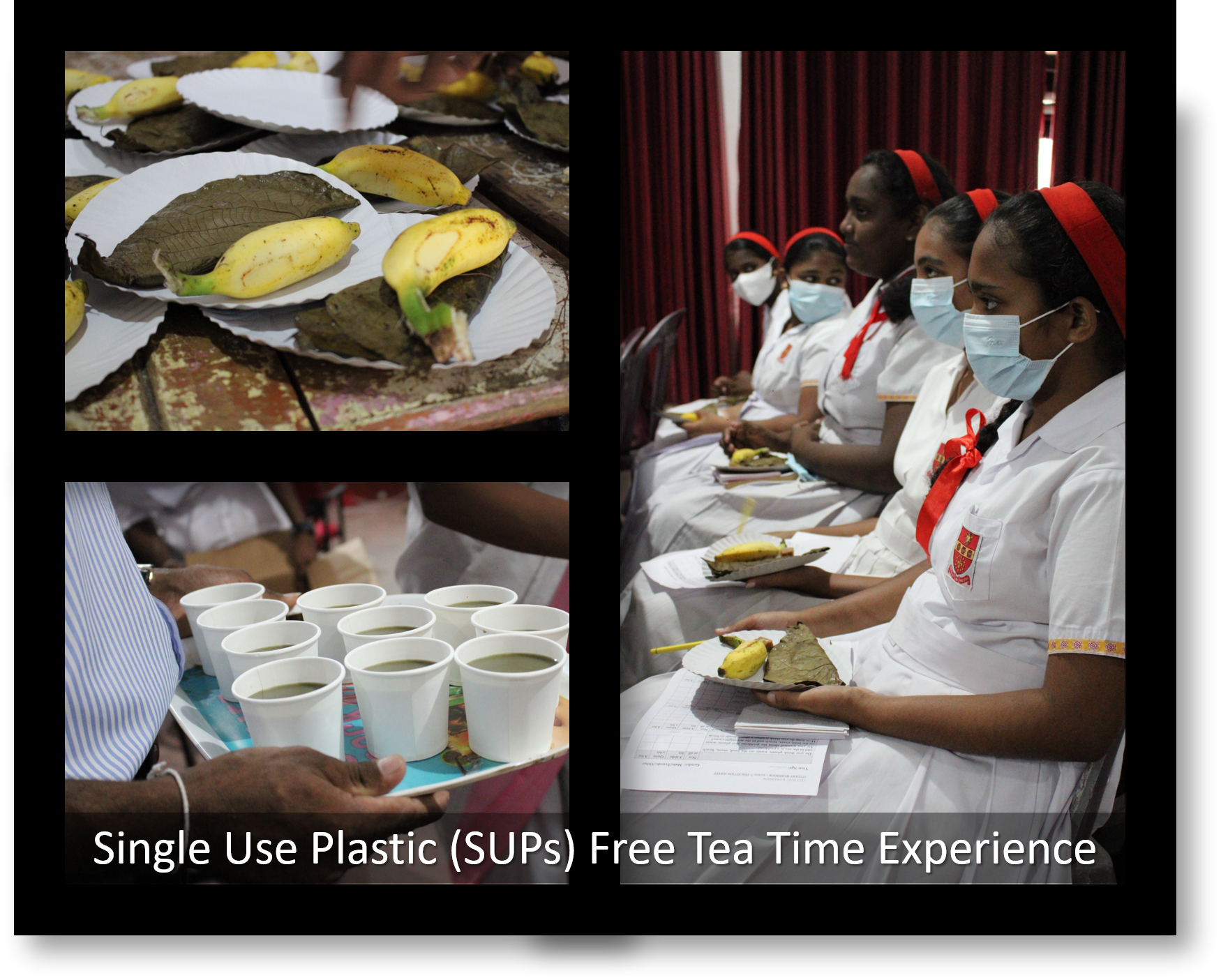 Single Use Plastic (SUPs) Free Teatime Experience